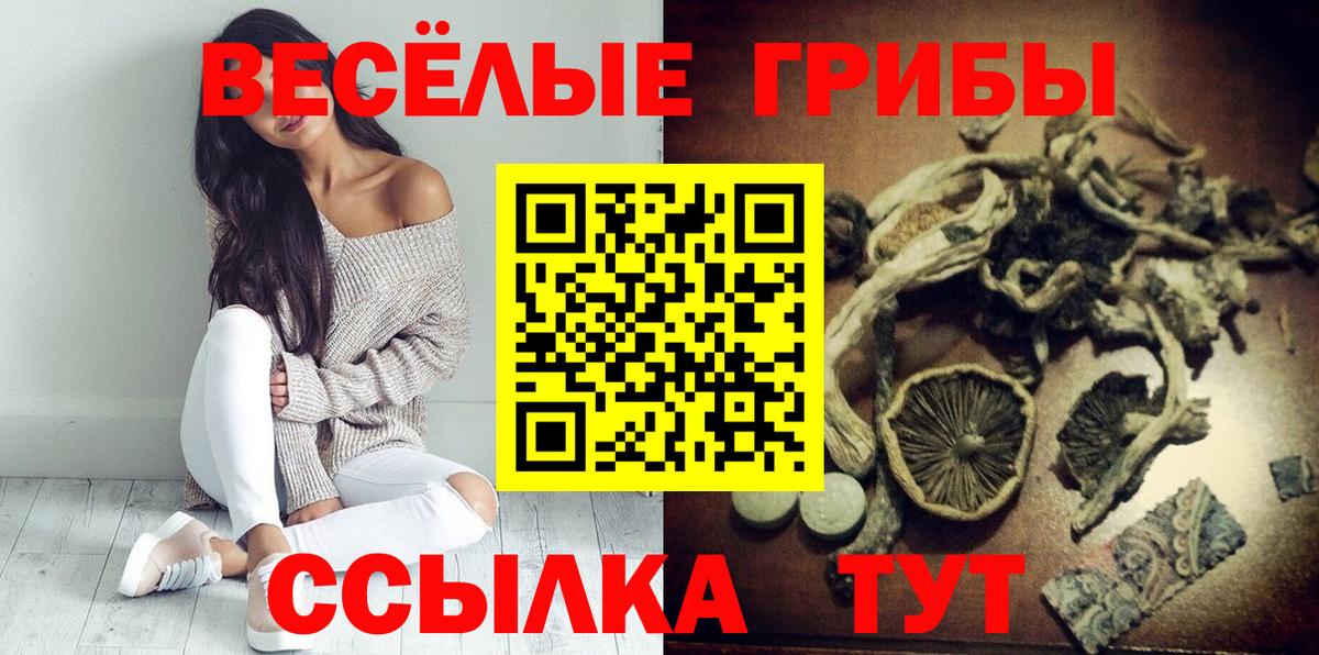 Александров  Галлюциногенные грибы Magic Shrooms  Вход с VPN  Галлюциногенные грибы Psilocybine cubensis 