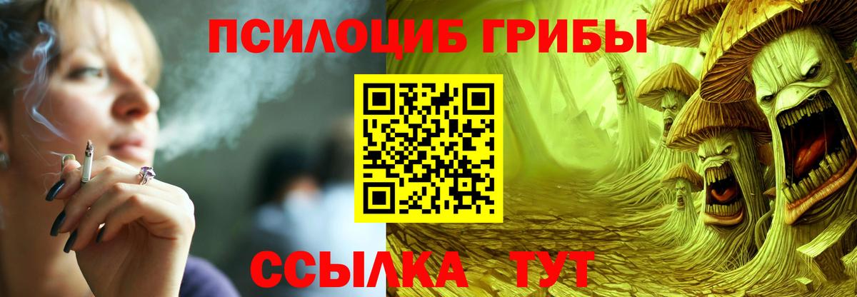 Галлюциногенные грибы MAGIC MUSHROOMS Александров